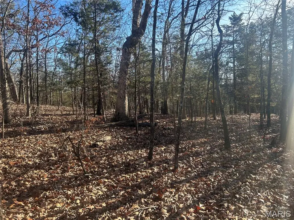 306 Madison Cr 410, Fredericktown, MO 63645 - #1