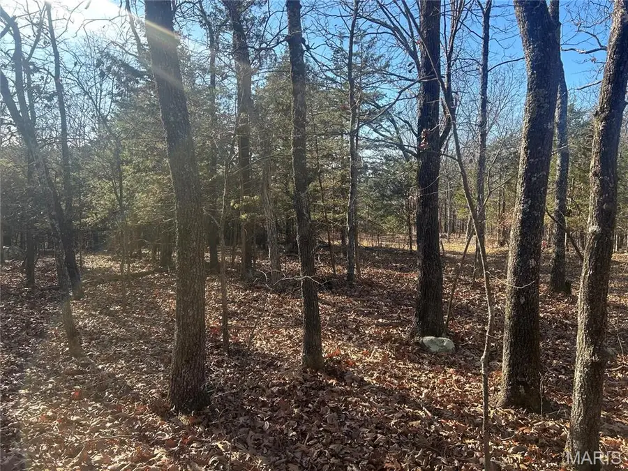 306 Madison Cr 410, Fredericktown, MO 63645 - #2