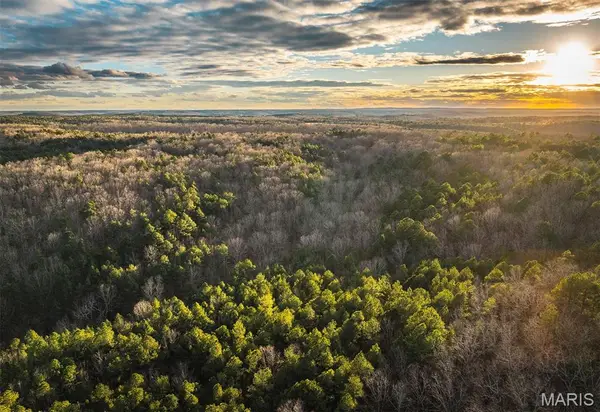 62ac Slaughter Road, Licking, MO 65542