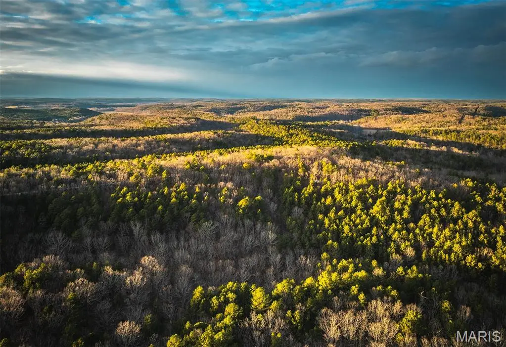 56ac Slaughter Road, Licking, MO 65542 - Image #1