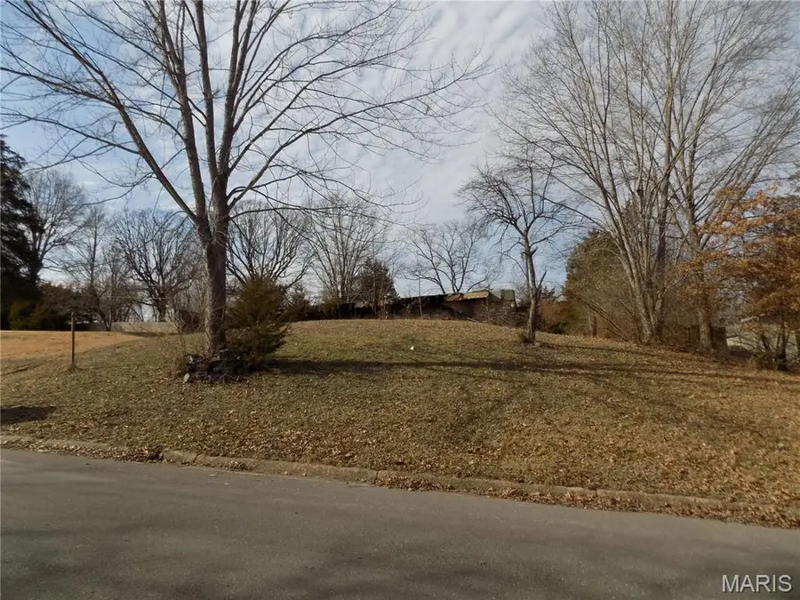 1102 Sycamore Drive, Rolla, MO 65401 - #2