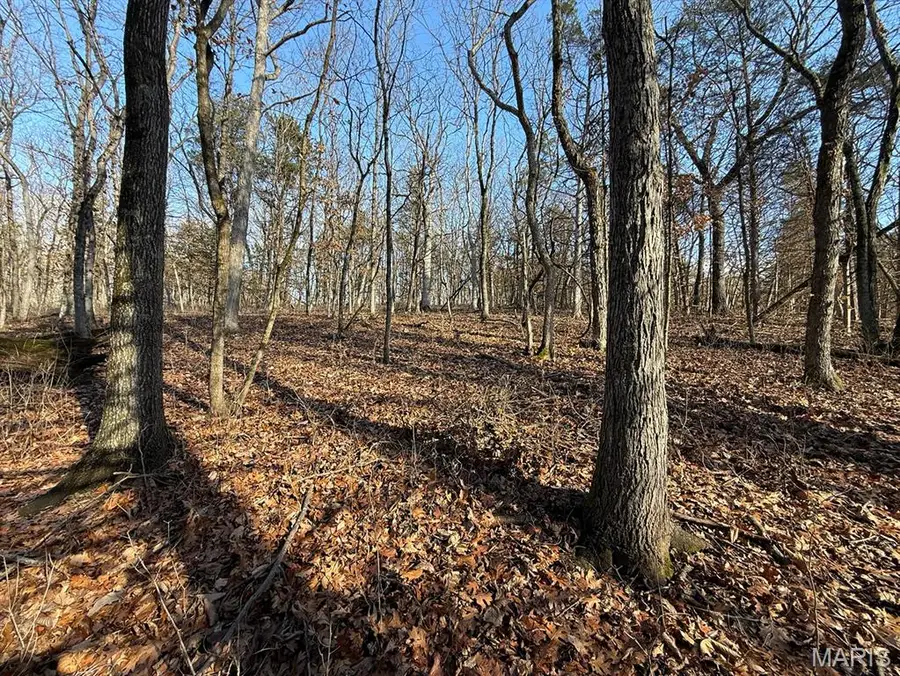 00 Ghost Hollar Road, Pilot Grove, MO 65276 - Image #3