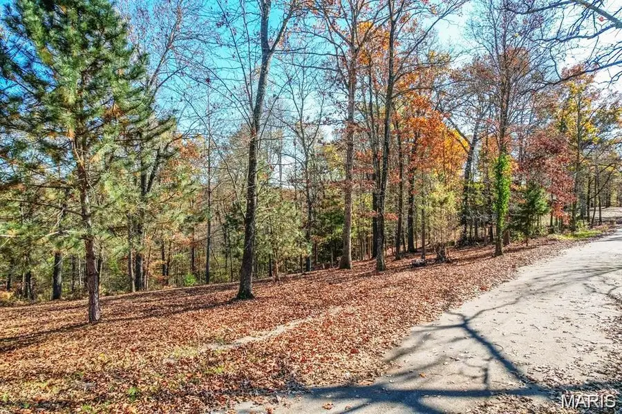 685 Radcliff Lane, Poplar Bluff, MO 63901 - #2