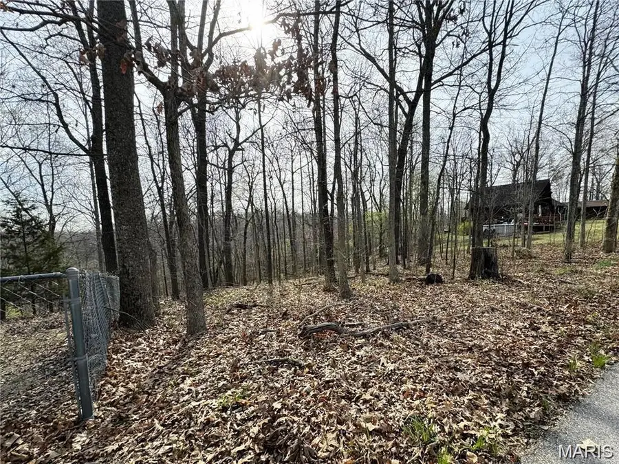 685 Radcliff Lane, Poplar Bluff, MO 63901 - #3