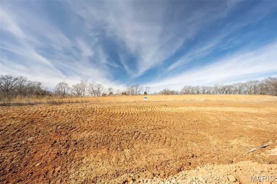 39 Oakview Ct. - Lot 10, Troy, MO 63379 - #2