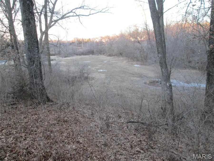 3600 Old Baumgartner, Saint Louis, MO 63129 - Image #2