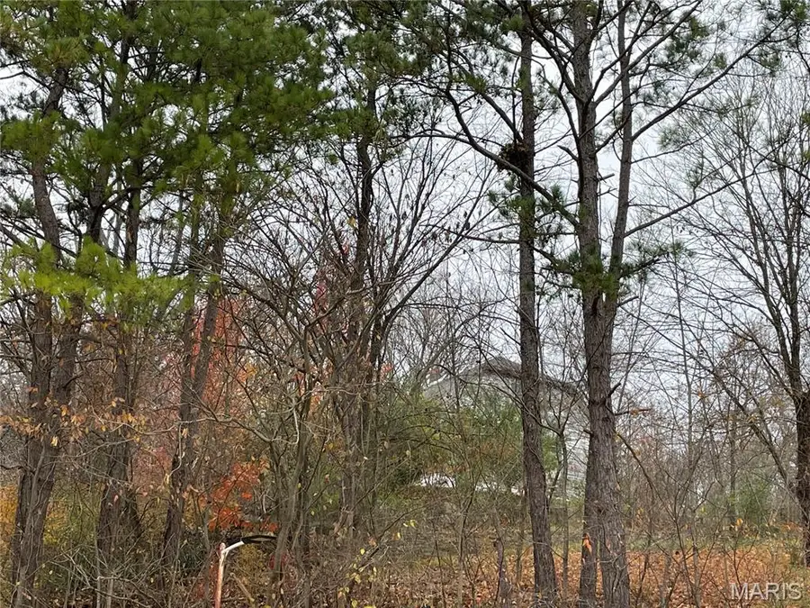 410 Orchard St., Williamsville, MO 63967 - Image #3