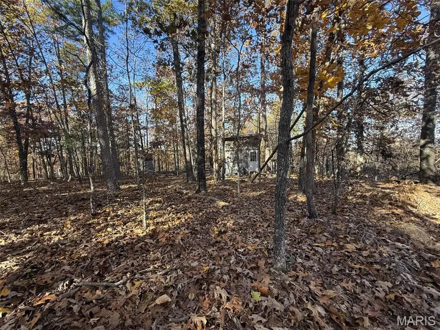 0 Madison 325, Fredericktown, MO 63645 - #2