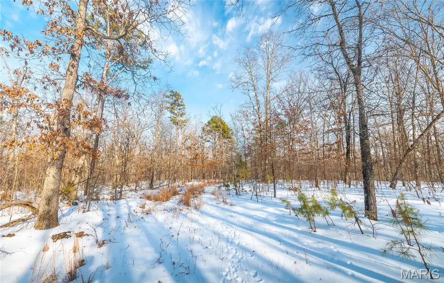 0 County Road Bb-2, Doniphan, MO 63935 - Image #3