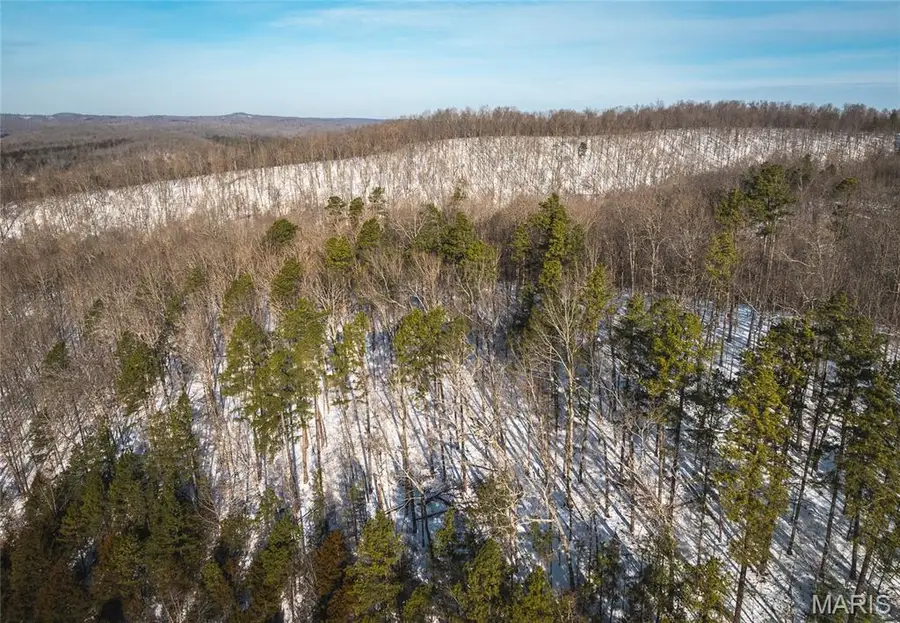 000 Highway 49, Black, MO 63625 - Image #3