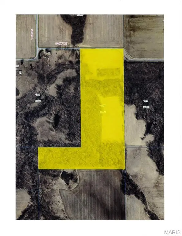 0 Palmyra, Palmyra, IL 62674 - Image #1