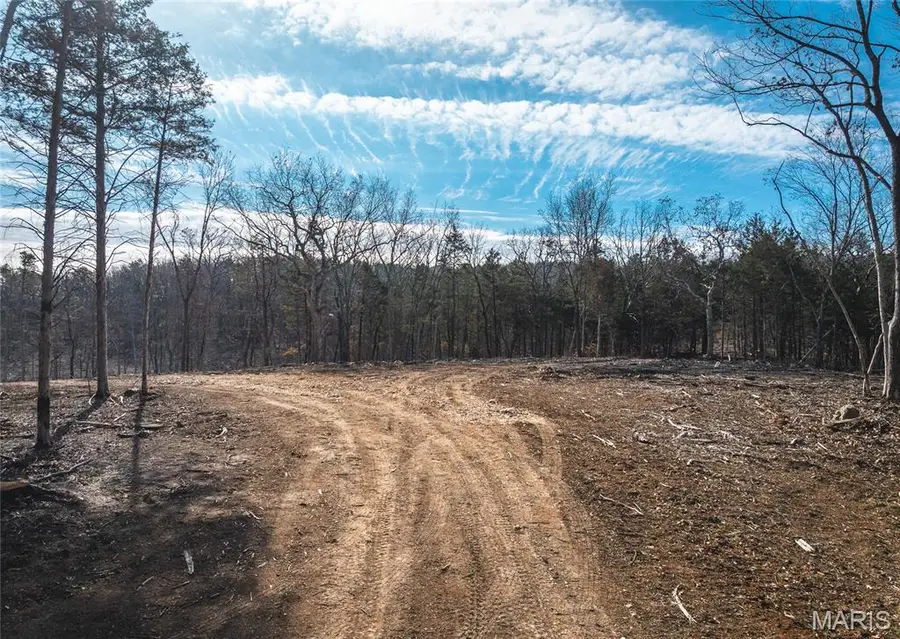 1 Bust Subdivision Rd, Potosi, MO 63664 - Image #2