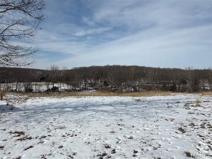 111 Kane Lane, High Hill, MO 63350 - Image #3