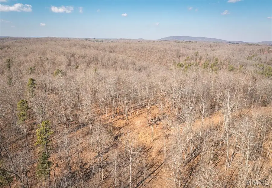 000 County Road 352, Piedmont, MO 63957 - #2