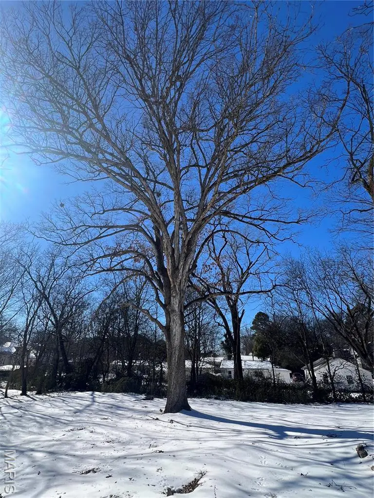 725 N 10th Street, Poplar Bluff, MO 63901 - Image #3