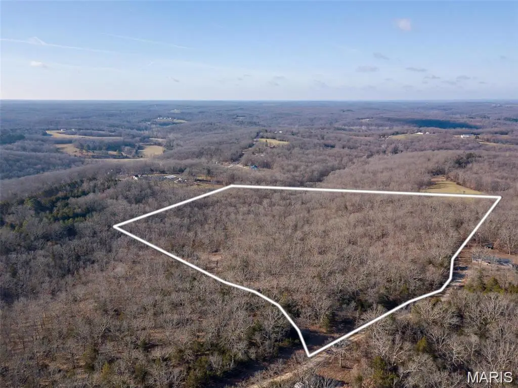 317 Fern Court, Saint Clair, MO 63077 - #1