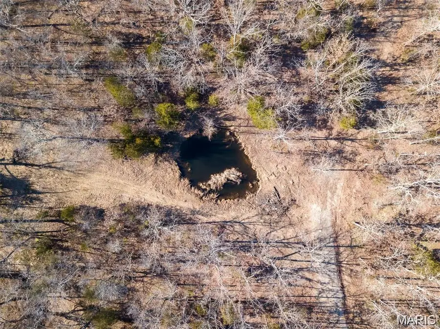 317 Fern Court, Saint Clair, MO 63077 - #2