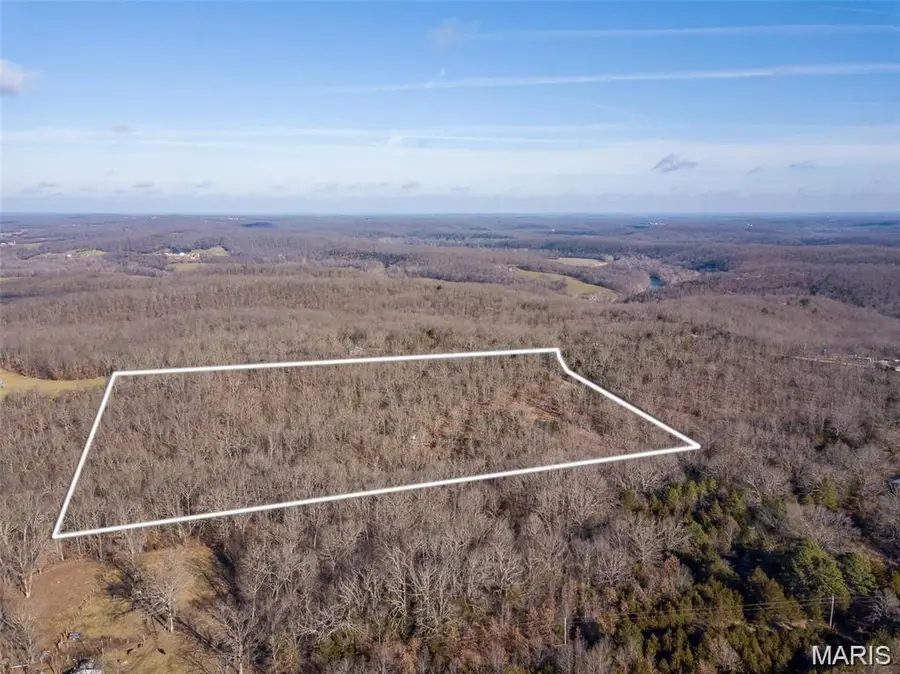 317 Fern Court, Saint Clair, MO 63077 - #3