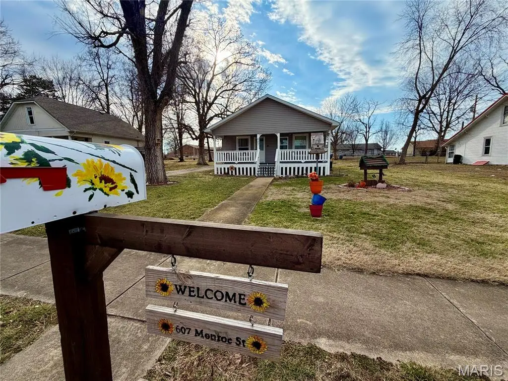 607 Monroe Street, Desloge, MO 63601 - #1
