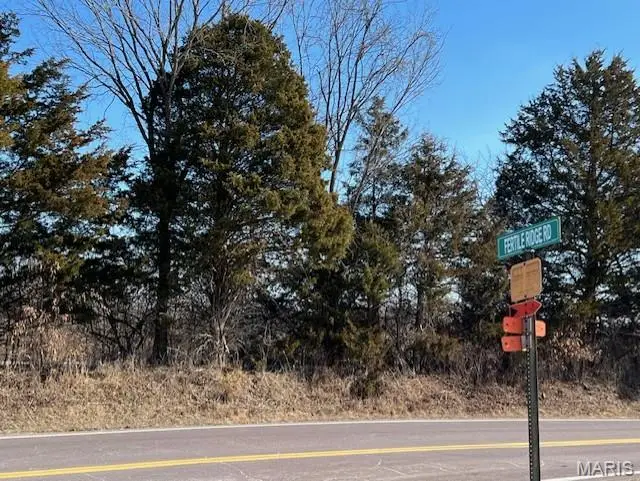 Lot 6 Parkview Farms, Blackwell, MO 63626 - #3