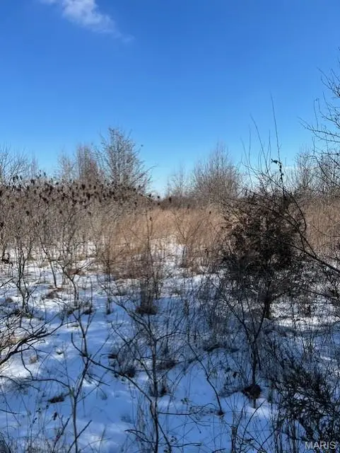 Lot 7 Parkview Farms, Blackwell, MO 63626