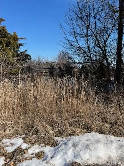 Lot 7 Parkview Farms, Blackwell, MO 63626 - #2