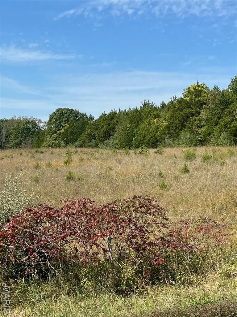 103 Coffeyton, Bourbon, MO 65441 - #3