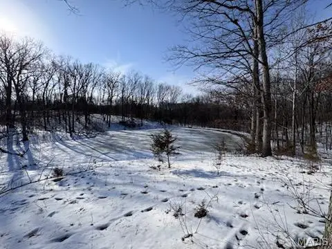 98 Oak Tree Lane, Winfield, MO 63389 - #2