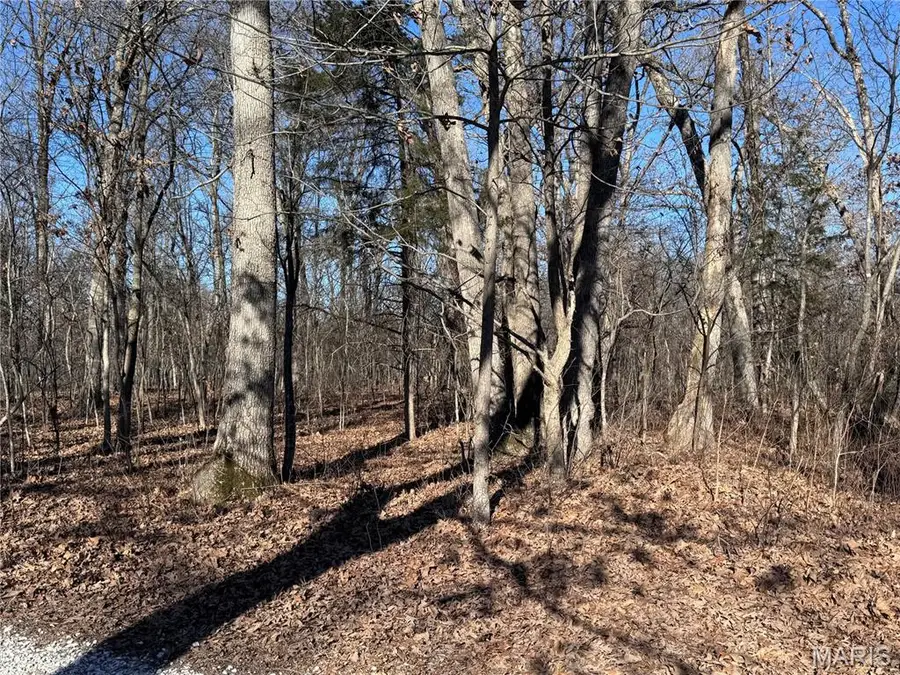 Lot 9 Hilltop Trails, Warrenton, MO 63383 - #2