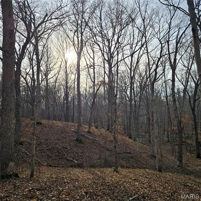 000 Allen Rd., Iuka, IL 62849 - Image #3