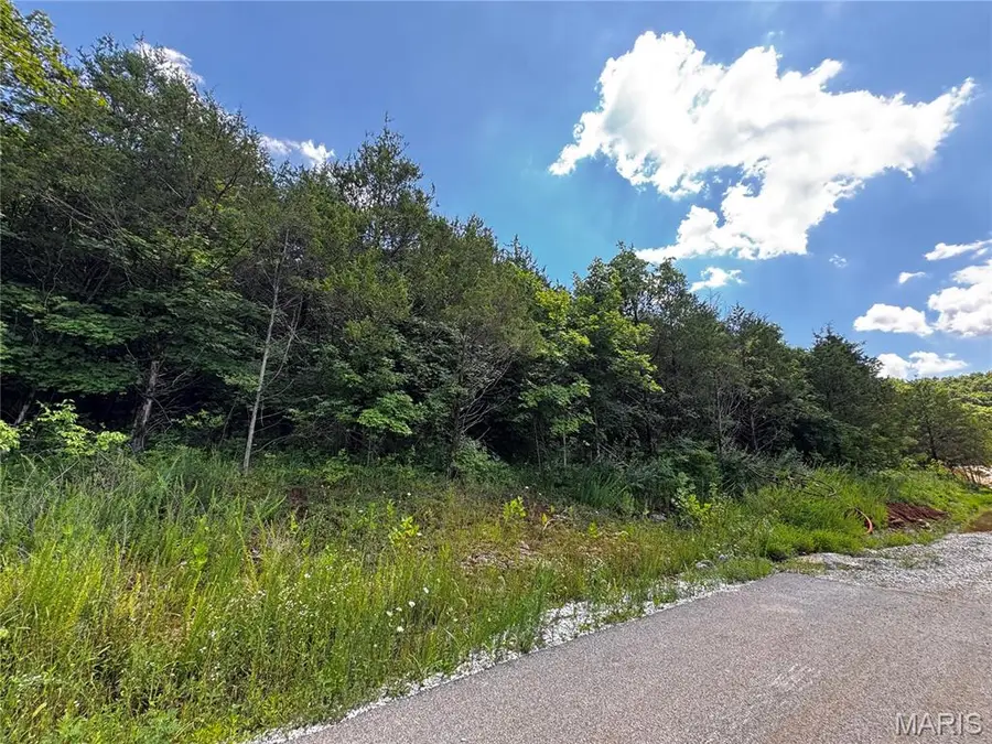 5656 Eagles Valley W, House Springs, MO 63051 - #2