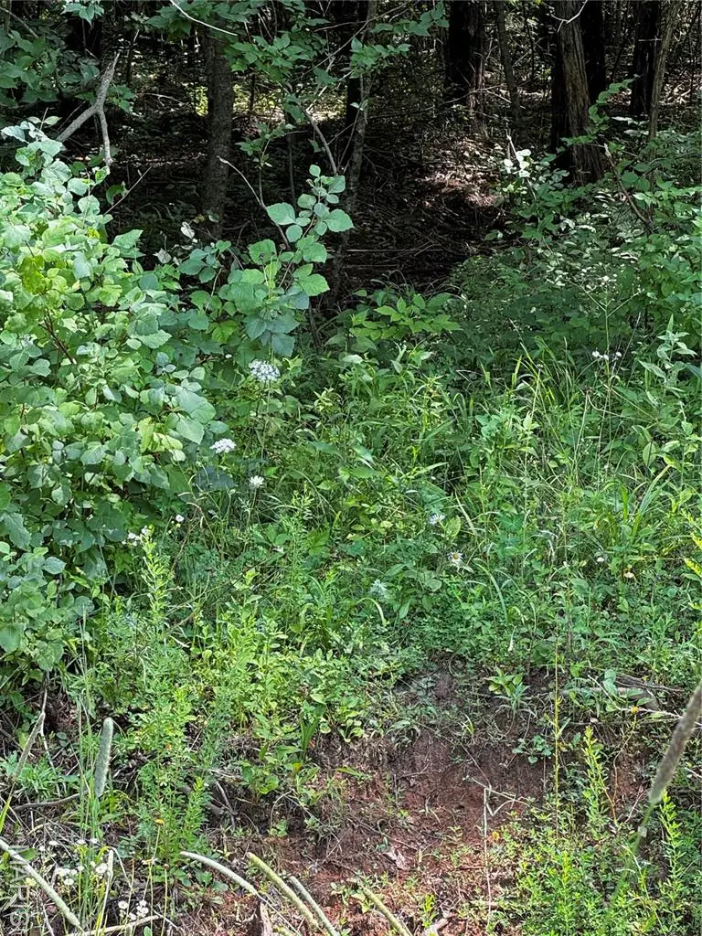 5656 Eagles Valley W, House Springs, MO 63051 - #3