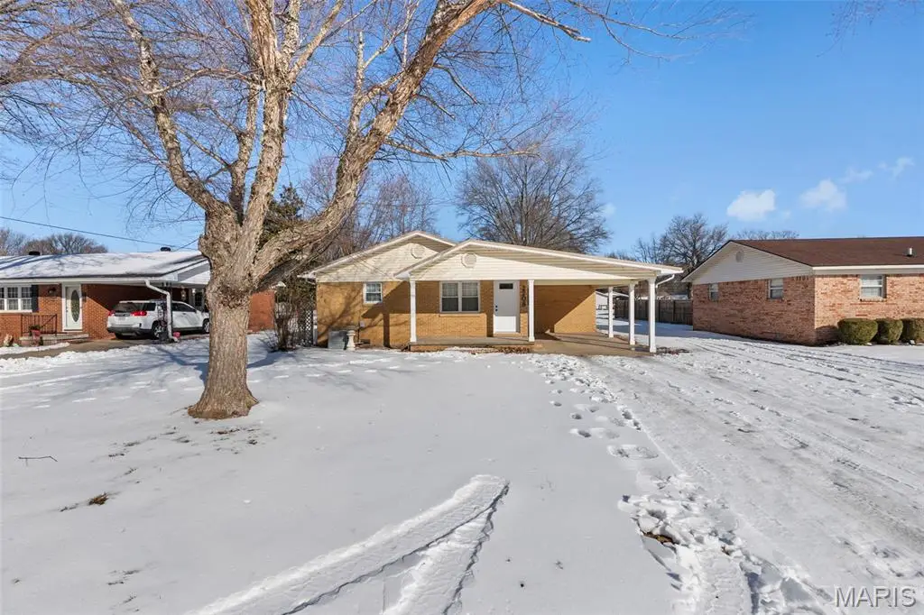 2208 Carter Street, Kennett, MO 63857 - #1