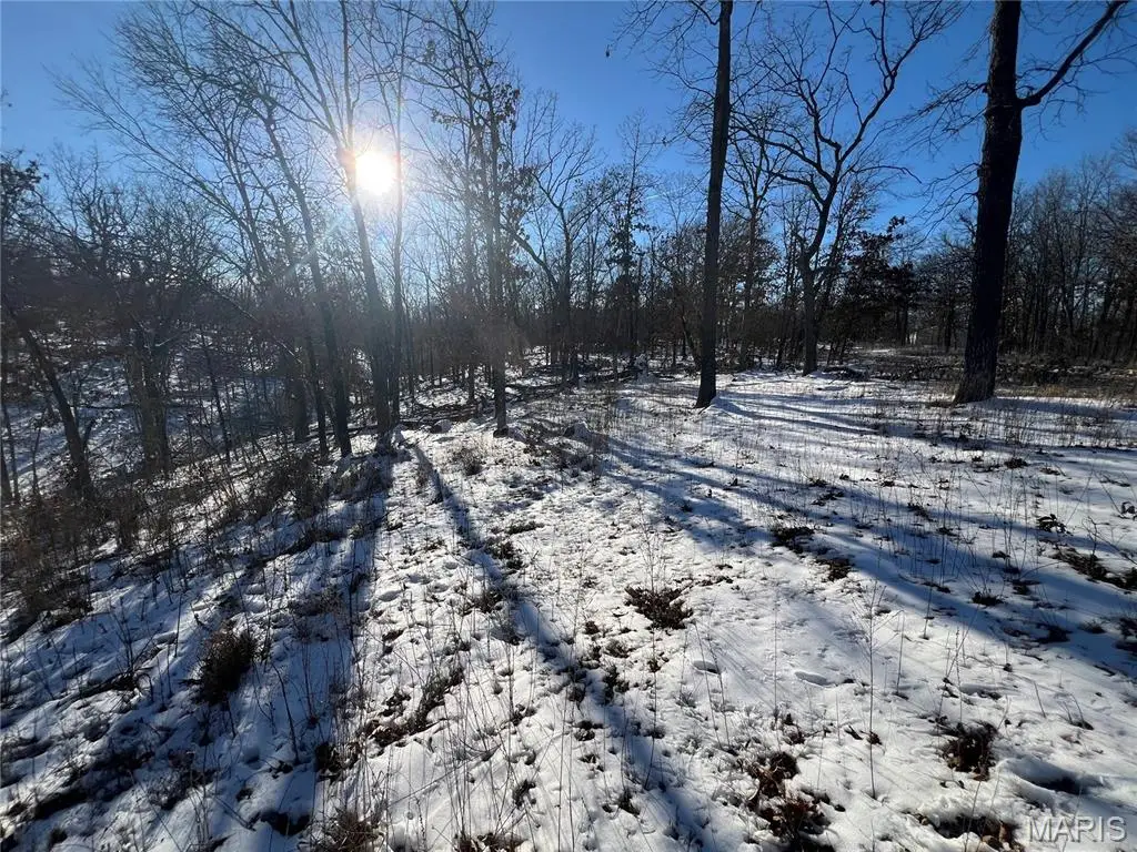 000 Partridge Drive, Climax Springs, MO 65324 - #1