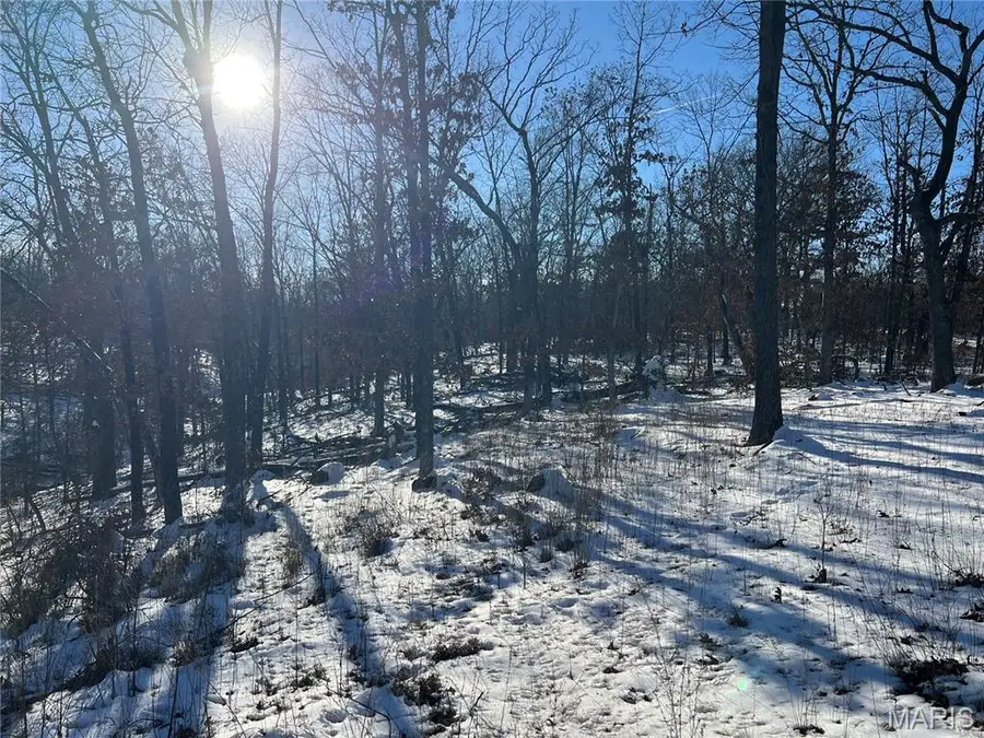 000 Partridge Drive, Climax Springs, MO 65324 - #2