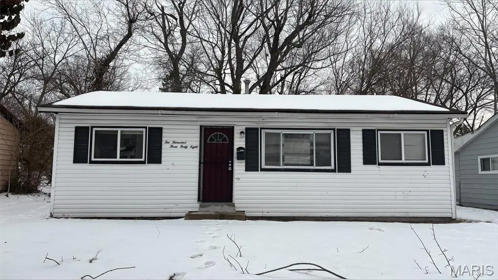 10348 Earl Drive, Saint Louis, MO 63136 - #1