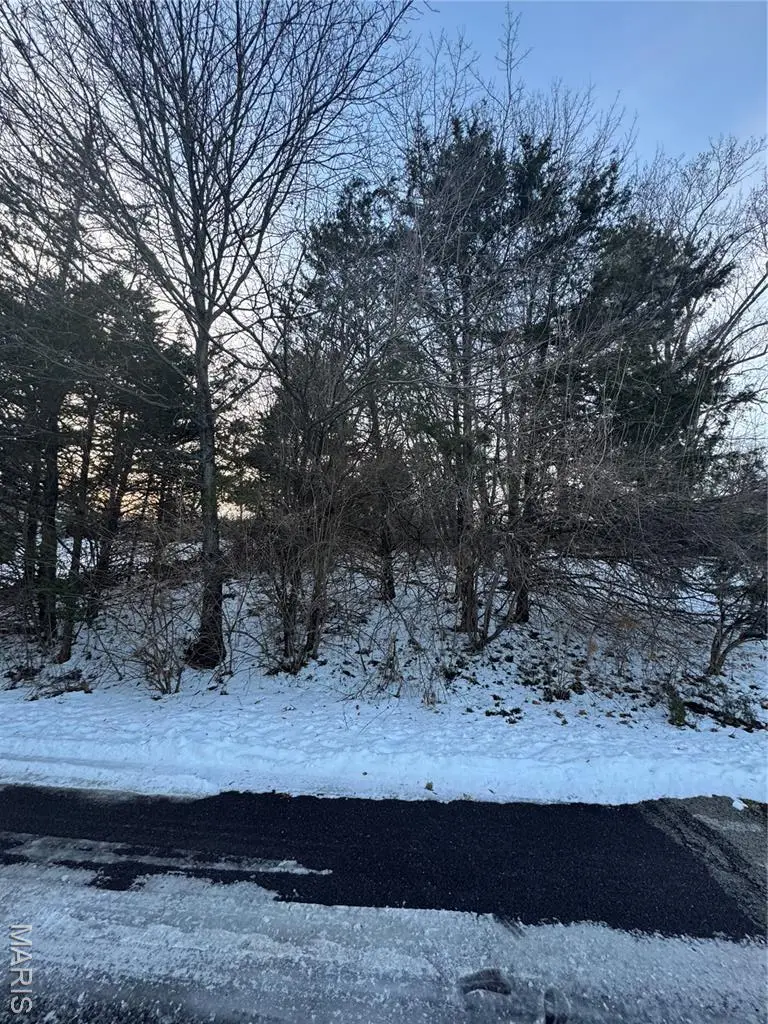 445 Lake Shore Drive, Saint Clair, MO 63077 - #2