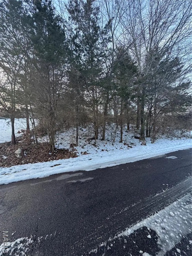 445 Lake Shore Drive, Saint Clair, MO 63077 - #3