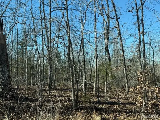 TBD County Road 4110, Rolla, MO 65401 - #2