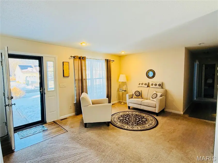 34113 Canoe Court, Brighton, IL 62012 - #3