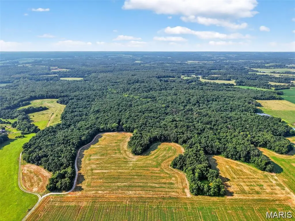 116.18 +/- Acres Highway Dd, Bellflower, MO 63333 - #1