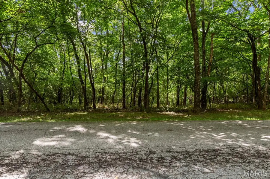 18520 Hawks Hill Road, Wildwood, MO 63069 - #2