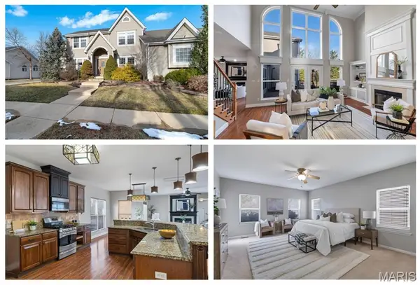 317 Lake Side View Lane, Cottleville, MO 63376