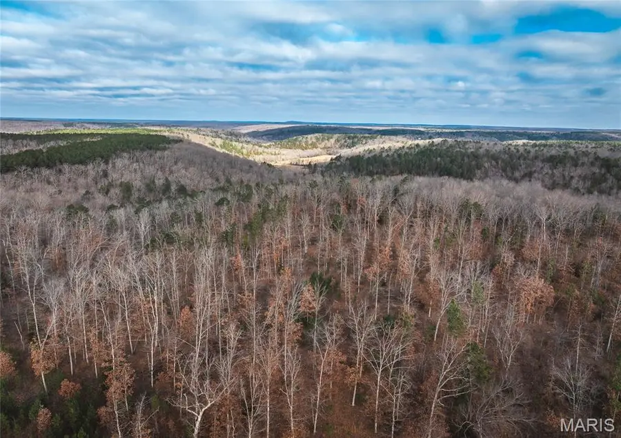 3627 County Road 2120, Rolla, MO 65401 - #2