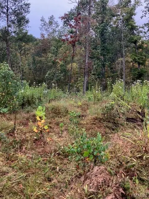 196 Madison Cr 410, Fredericktown, MO 63645 - #2