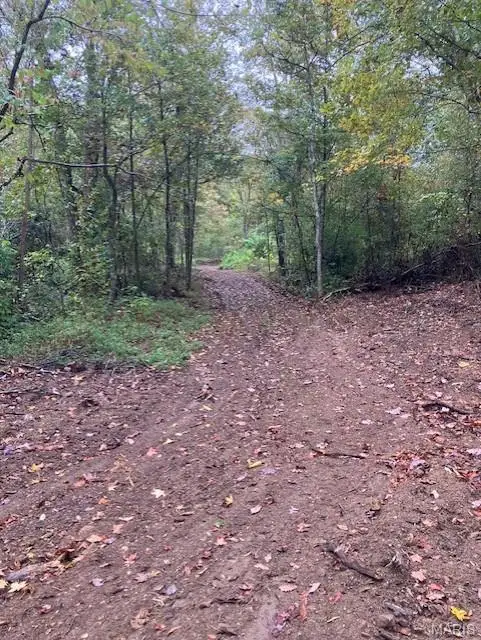 196 Madison Cr 410, Fredericktown, MO 63645 - #3