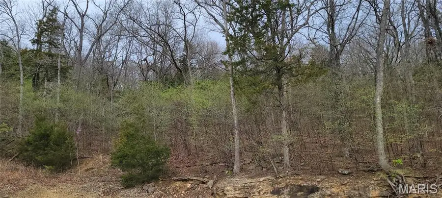 600 N High Post Road, Augusta, MO 63332 - #3