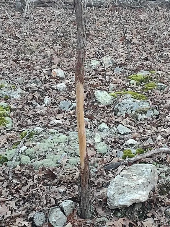 000 Moonshine Pass, Salem, MO 65560