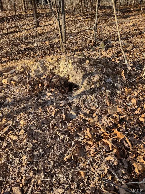 000 Moonshine Pass, Salem, MO 65560 - #2