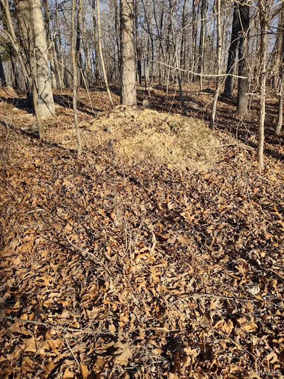 000 Moonshine Pass, Salem, MO 65560 - #3